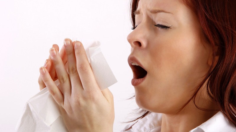 estornudo alergia
